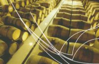 accanto-srl-forme-del-vino06