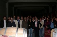 accanto-srl-forme-del-vino11